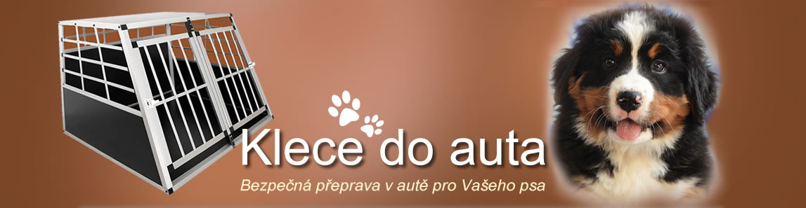 teka ip